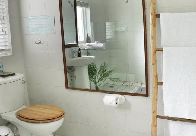 Butterfly Couple Suite