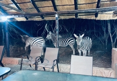 Ivory Sands Safari Lodge