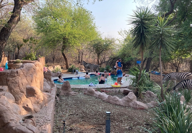 Ivory Sands Safari Lodge