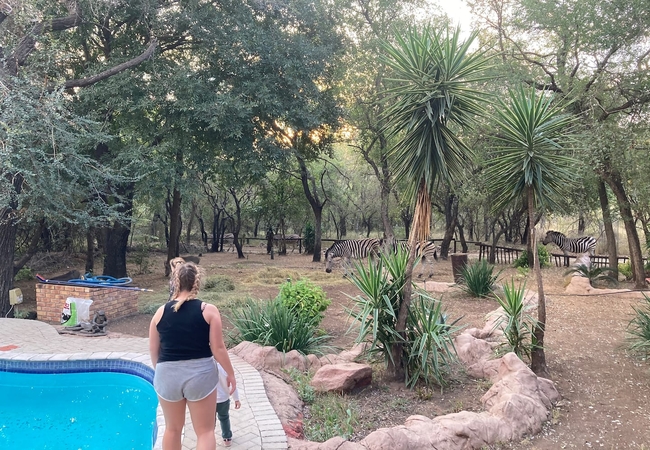 Ivory Sands Safari Lodge