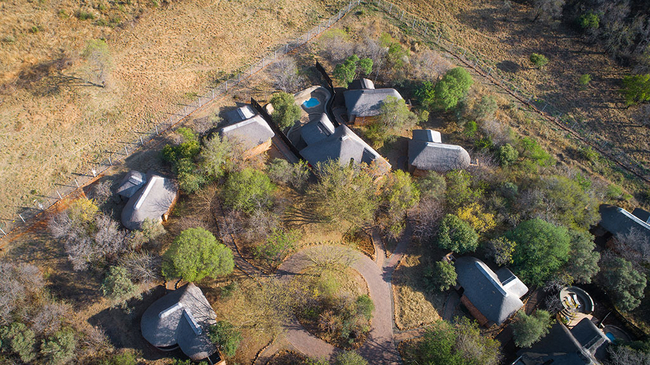Ivory Tree Game Lodge