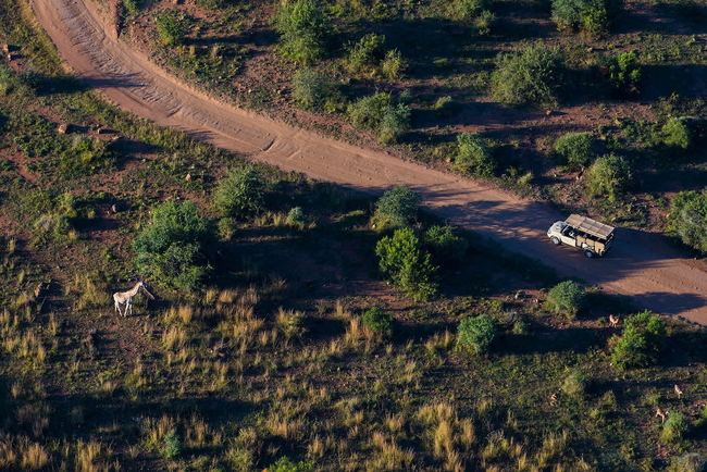 Ivory Tree Game Lodge