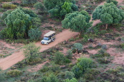 Ivory Tree Game Lodge