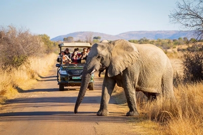 Ivory Tree Game Lodge