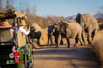 Ivory Tree Game Lodge