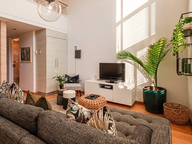 Superior Apartment 7