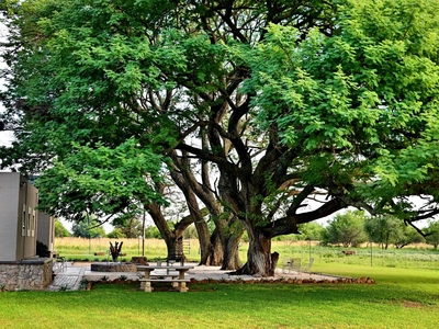 Jahensu High Tree Lodge