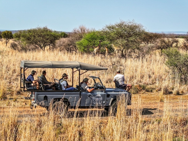 Jahensu High Tree Lodge