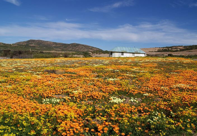 Jakkalswater Gasteplaas