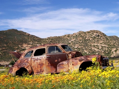 Jakkalswater Guest Farm