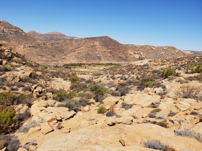 Jakkalswater Guest Farm