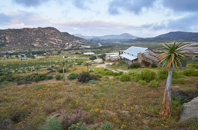 Jakkalswater Guest Farm