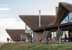 J-Bay Zebra Lodge