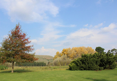 Jock's Cottages