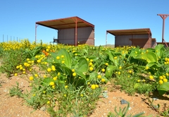 Kallabaskop Eco Lodge