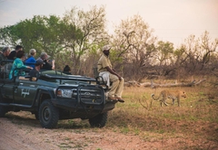 Private Game Drives