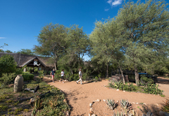 Kambaku Safari Lodge