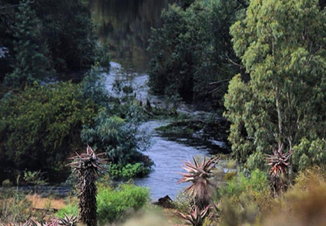 Kam\'Bati River Resort