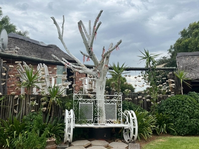 Kameelboom Lodge