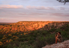 Kaoxa Bush Camp