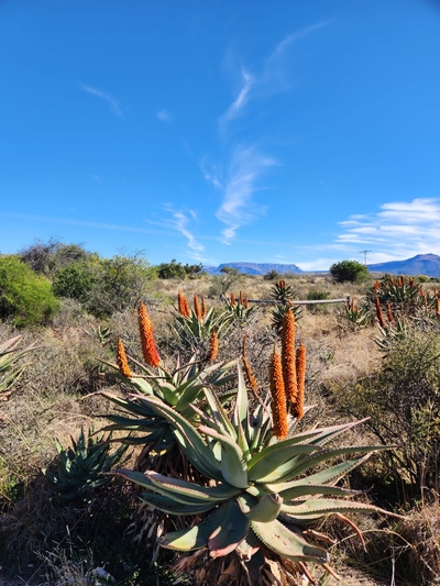 Karoo Dome