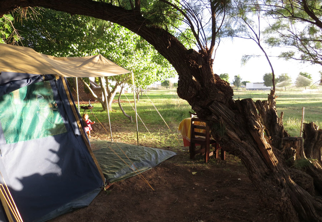 Tent view