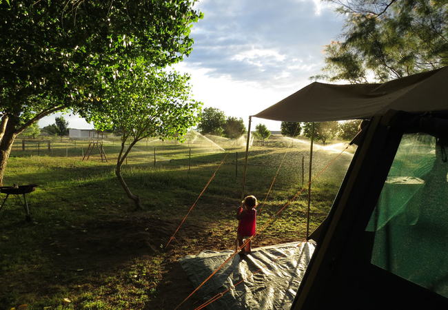 Tent view