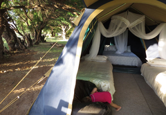 Full tent view