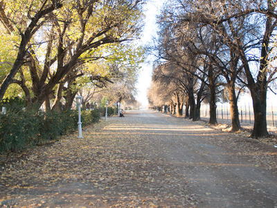 Karoo Gariep Tented Camp