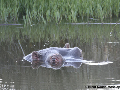Karoo Gariep Tented Camp