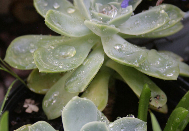 Karoo Poort Guesthouse