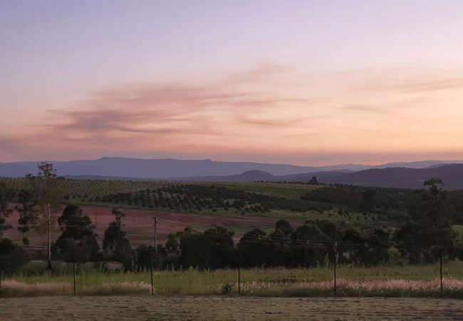 KatiKati Eco Lodge