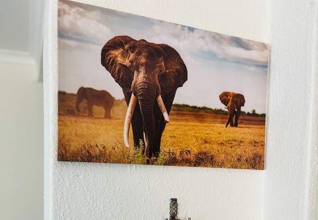 Khubonye Royal Guesthouse