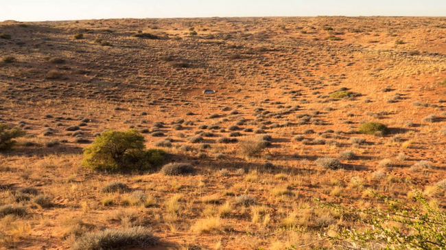 Kieliekrankie Wilderness Camp  