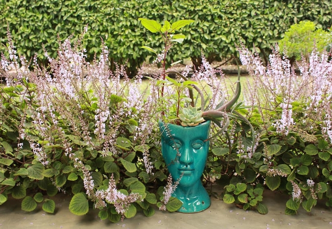 Kimi\'s Self Catering