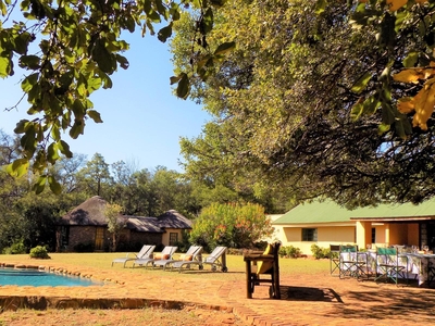Kingfisher @ Palala