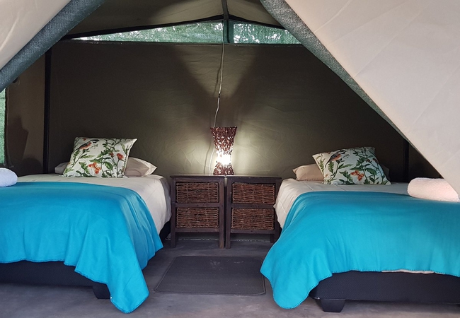 Safari Tents