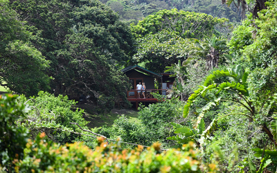 Kingfisher Lakeside Retreat