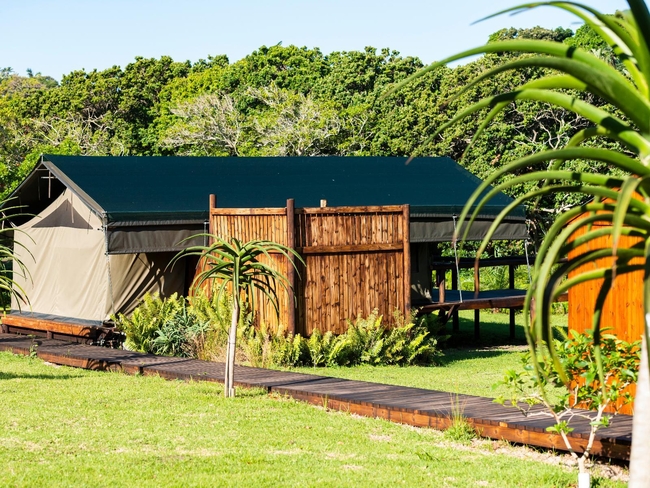 Kingfisher Tent