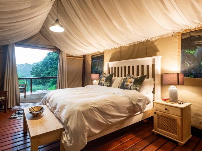 Falcon Tent