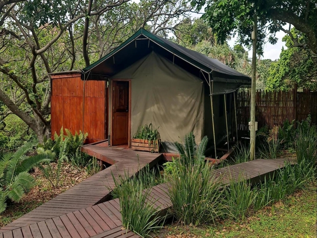 Falcon Tent