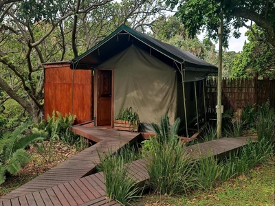 Falcon Tent