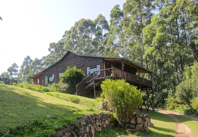 Kingfisher Log Cabin