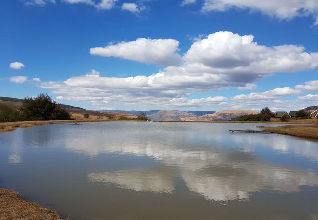 Flyfishing dam