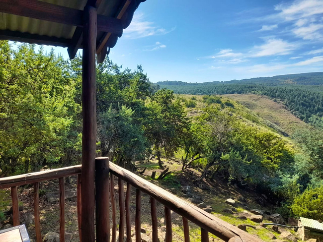 Mayfly Chalet
