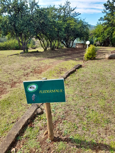 Fledermaus