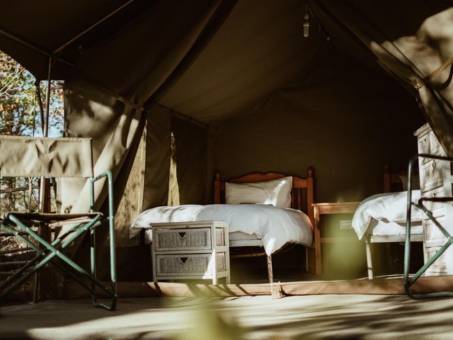 Safari Tent