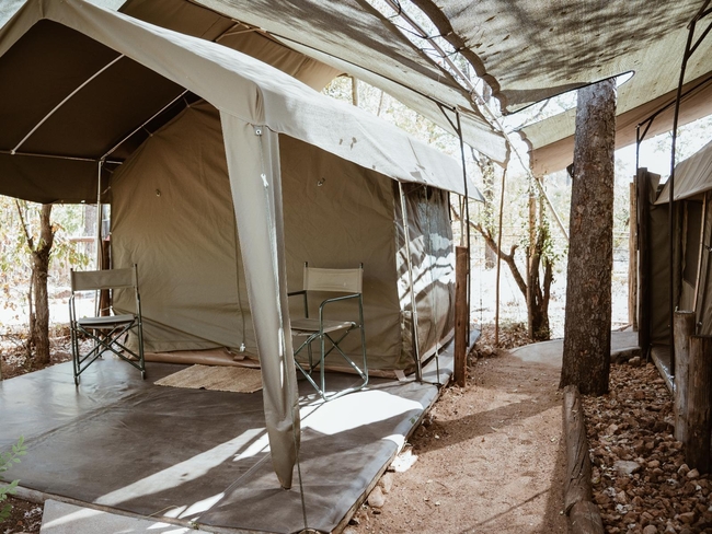 Safari Tent