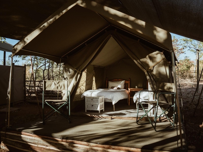 Safari Tent