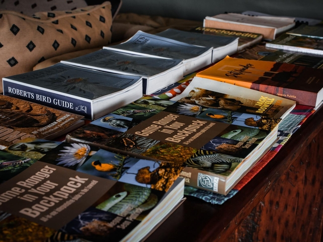 Kingly Conservation Camp